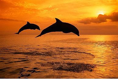 《内容警告》售出220万份 2个月内获得880万名玩家